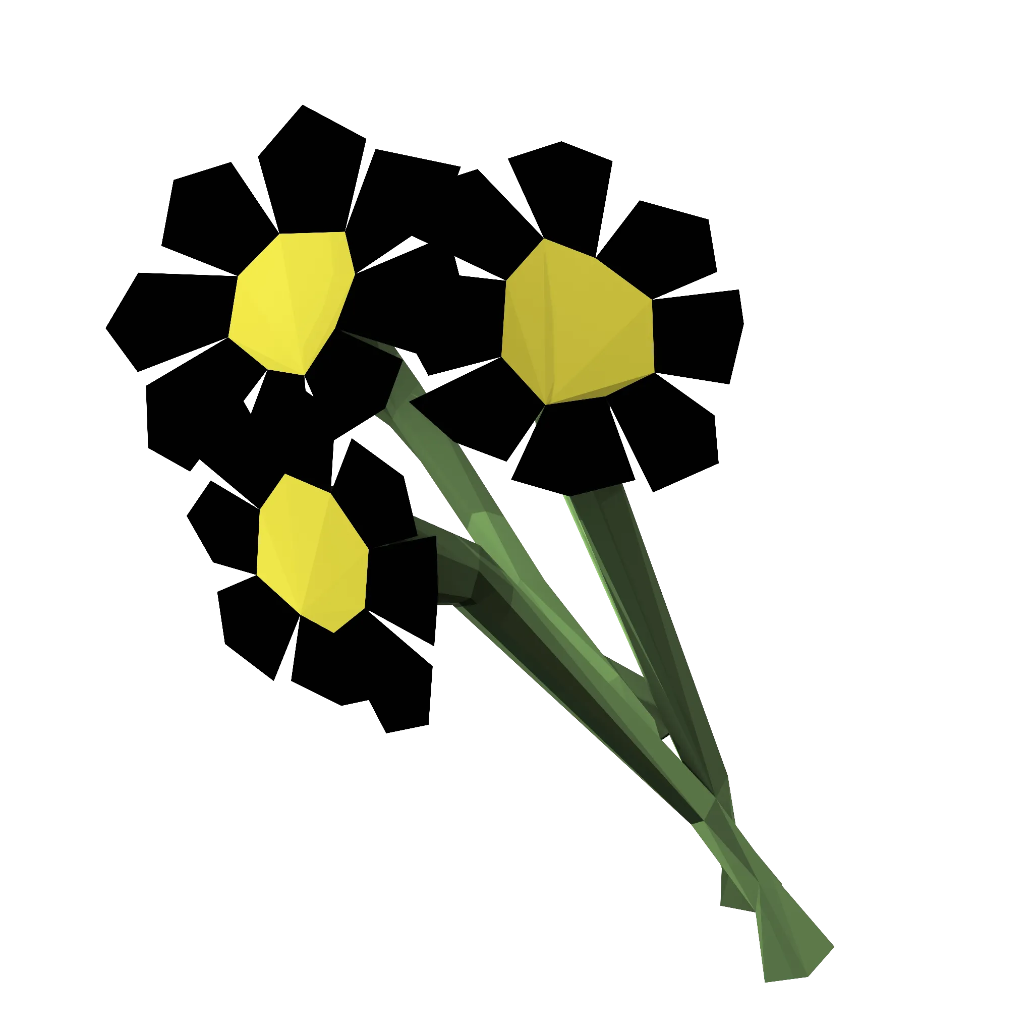 black flower